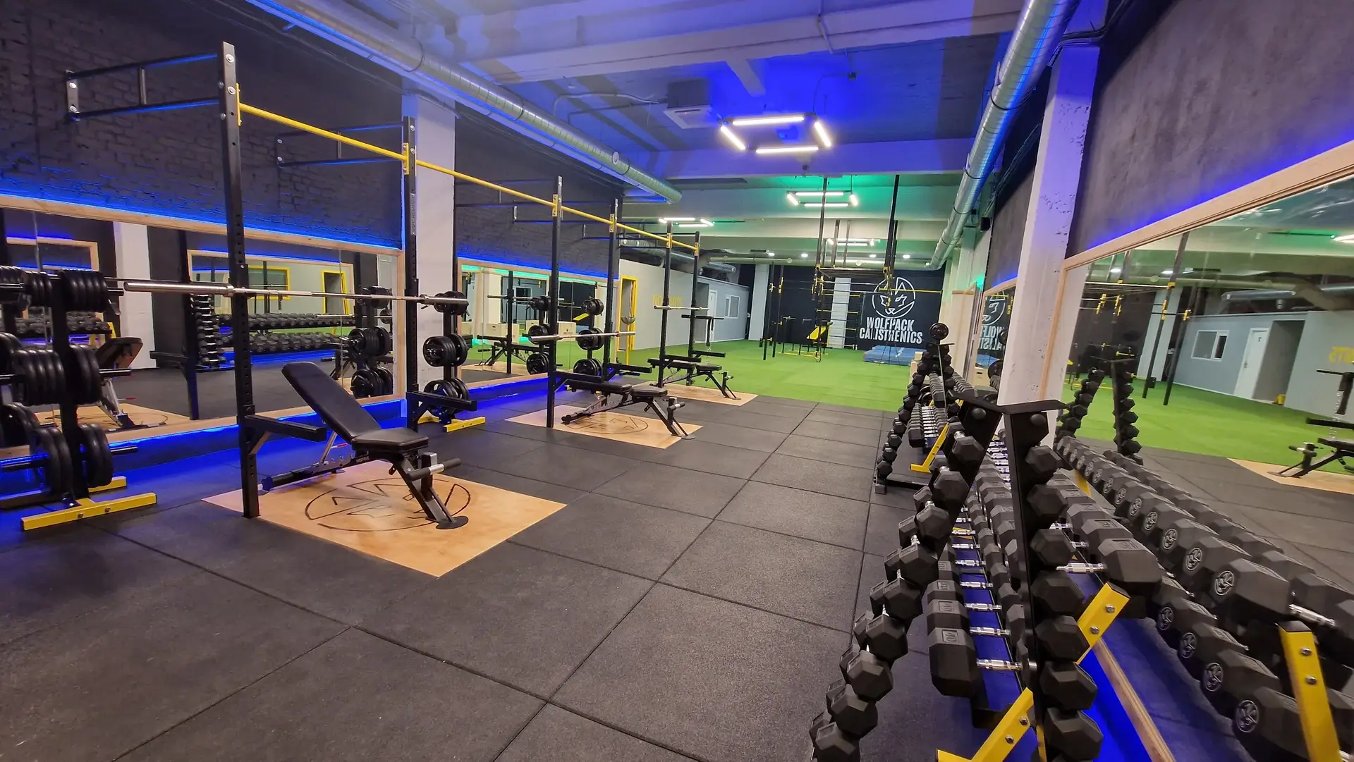 De free weights zaal en calisthenics ruimte van Wolfpack Calisthenics in Antwerpen, uitgerust met pull up bars, dip barren, squat racks, barbells en dumbbell